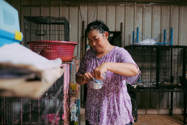 Innovations Écologiques en Éducation Animale : Explorons les Tendances Futures